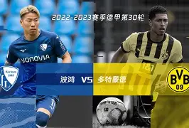 波尔图战胜多特蒙德,葡萄牙球队斩获胜利(葡萄牙波尔图市) 波尔图战胜多特蒙德,葡萄牙球队斩获胜利(葡萄牙波尔图市)