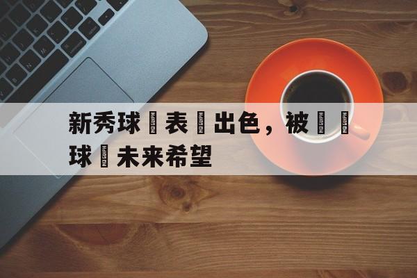新秀球員表現出色，被視為球隊未来希望的简单介绍